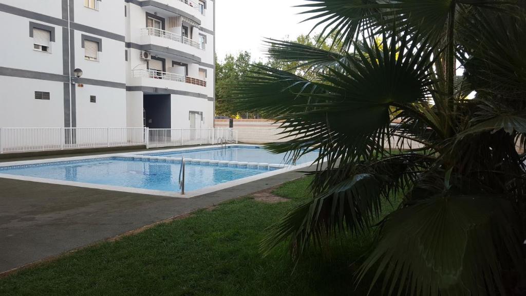 uma piscina em frente a um edifício em appartement avec piscine em San Vicente del Raspeig