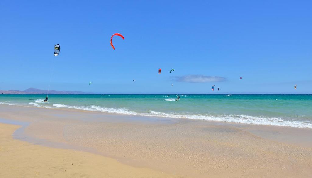 a group of people kite surfing in the ocean at INNSiDE by Meliá Fuerteventura – Adults Only in Costa Calma