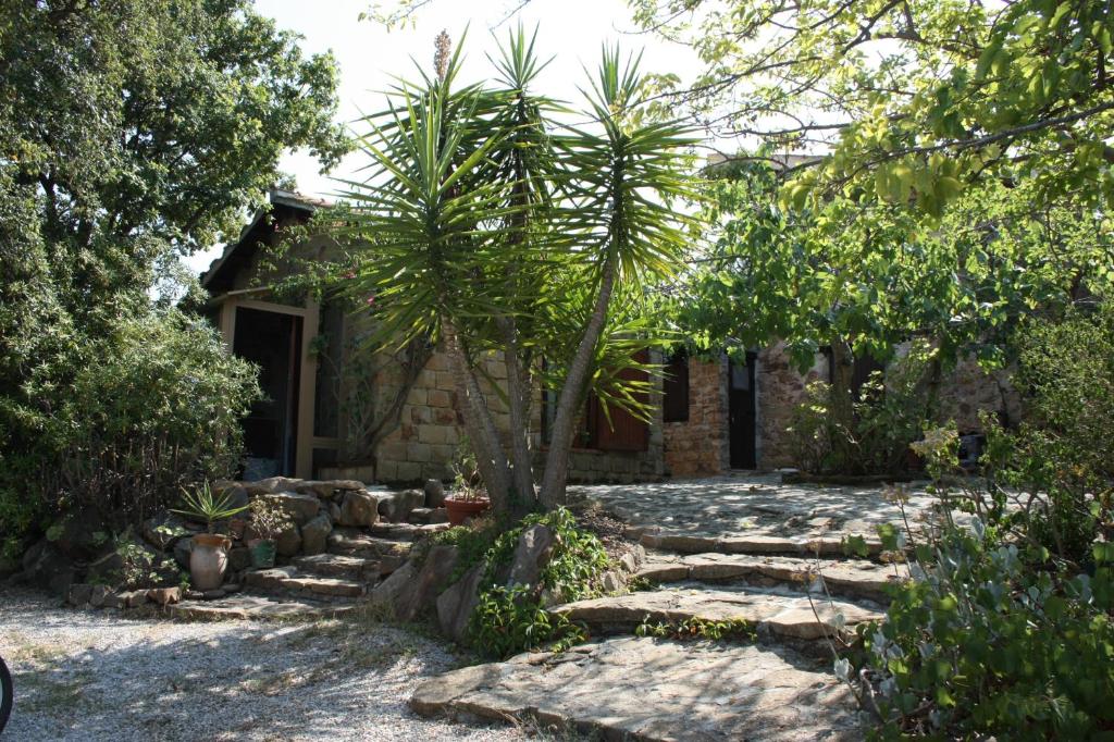 a house with a palm tree in the yard at Il Borghetto Country Charme in Cefalù