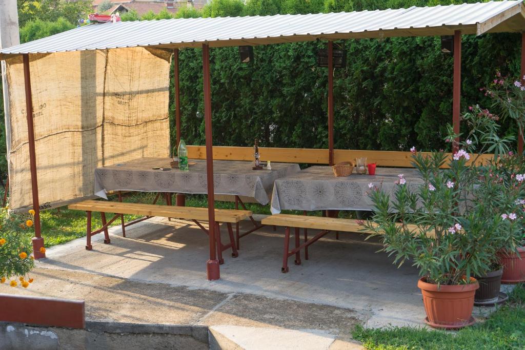 Vrt ispred objekta Apartmani Teodor