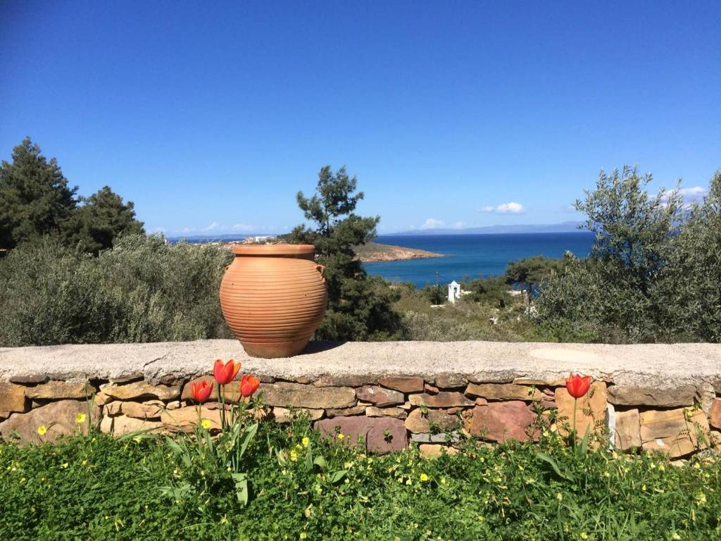 um vaso sentado em cima de uma parede de pedra em Villa Spiti Elaionas em Karfas