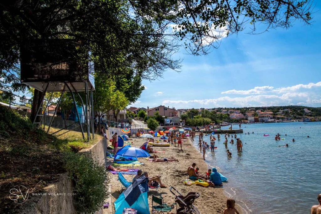 Příroda nedaleko apartmánu