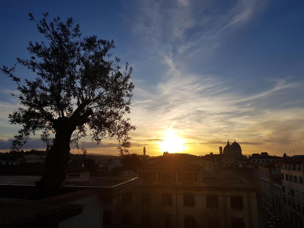 Forte16 View & SPA - Resim 32