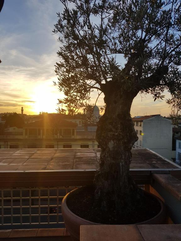 Forte16 View & SPA - Resim 8