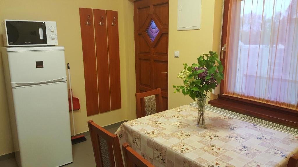 Kuchyňa alebo kuchynka v ubytovaní Kertész Apartmanok