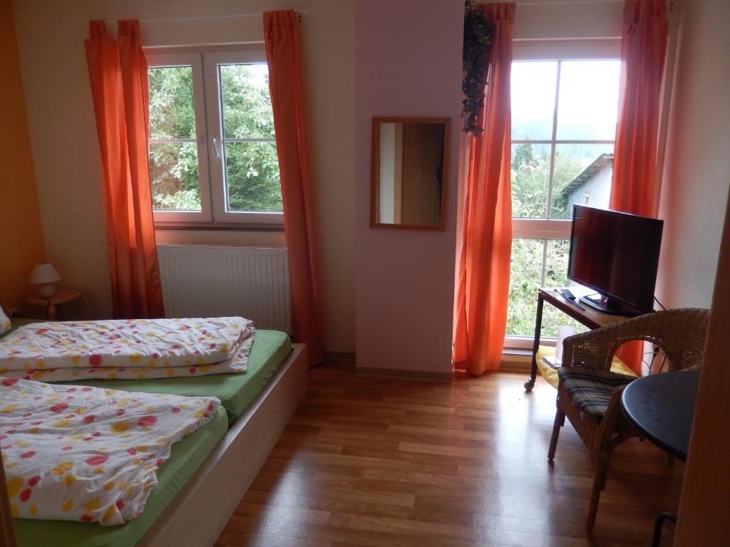 um quarto com 2 camas, uma televisão e uma janela em Eiderhufe em Holtsee