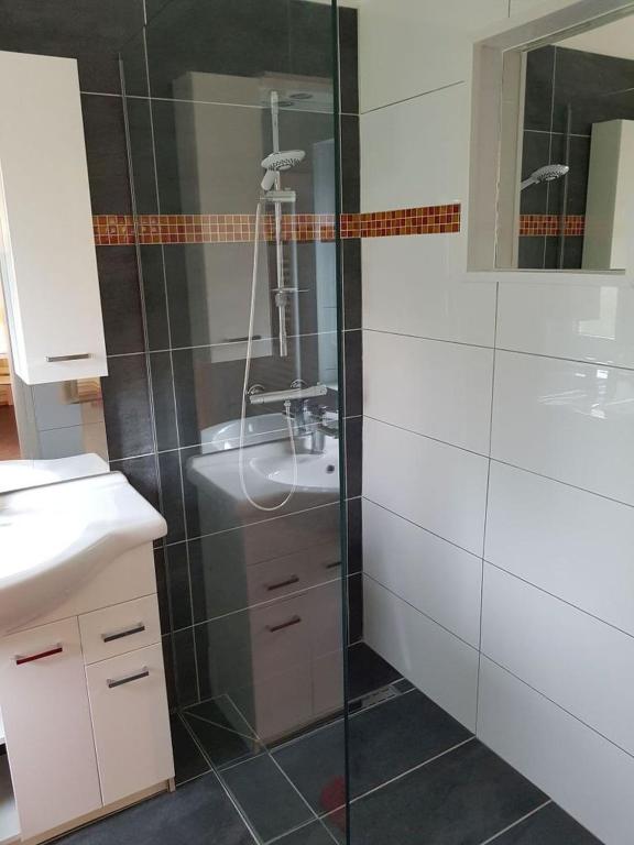 a bathroom with a sink and a glass shower at Garden Apartment Donau-City (P&R) in Vienna