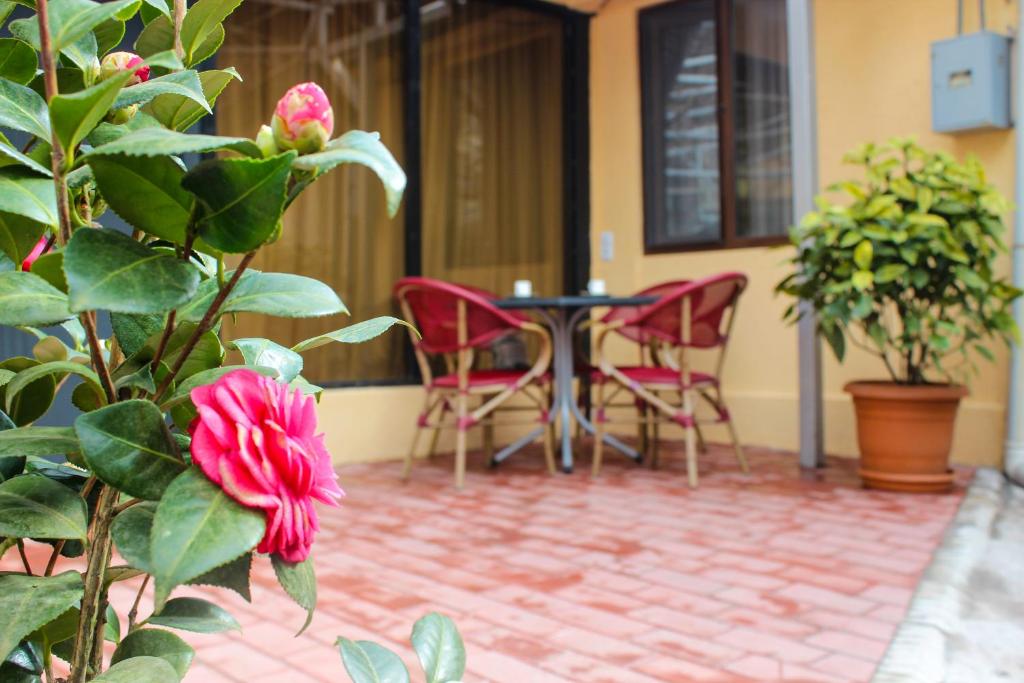 Lasha Apartment - Departamento