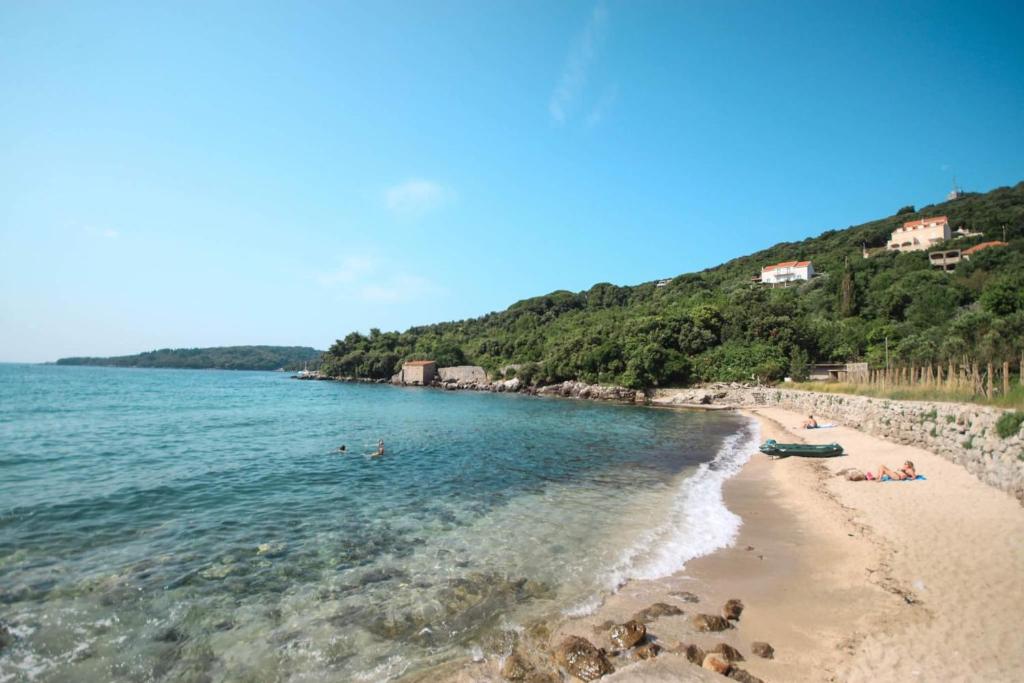 Príroda v okolí apartmánu