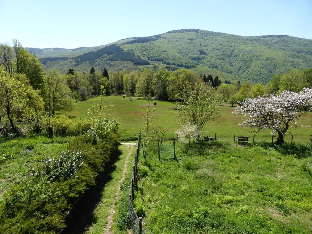 Příroda nedaleko bed and breakfast