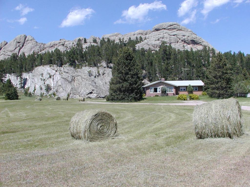 a field with hay bales in front of a mountain at El Dorado Ranch in Custer