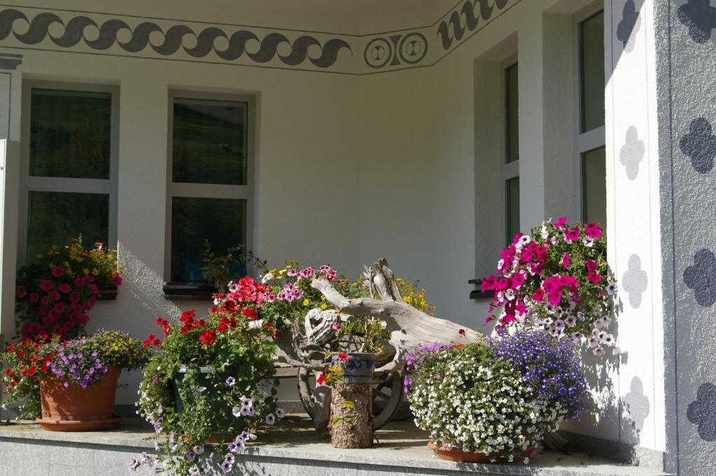 Zahrada ubytování Gasthof Martha