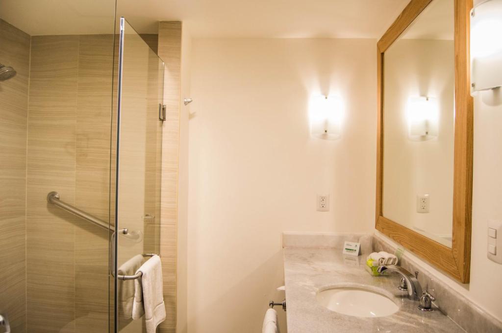 Holiday Inn Hotel & Suites Centro Historico, an IHG Hotel - Standaardruimte