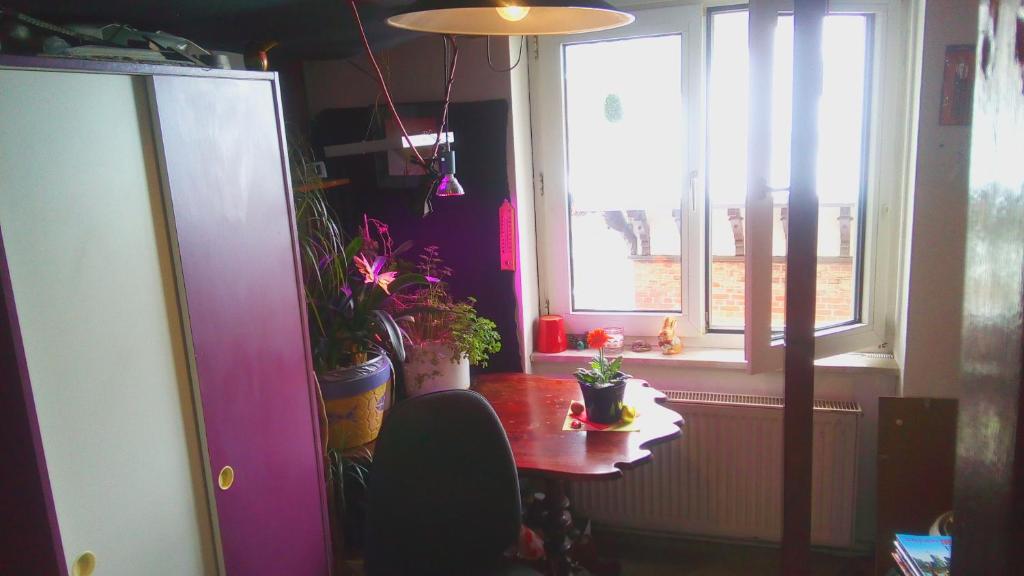 a dining room with a table and a window at 1 Female Room, Frankfurt CityCentre in Frankfurt