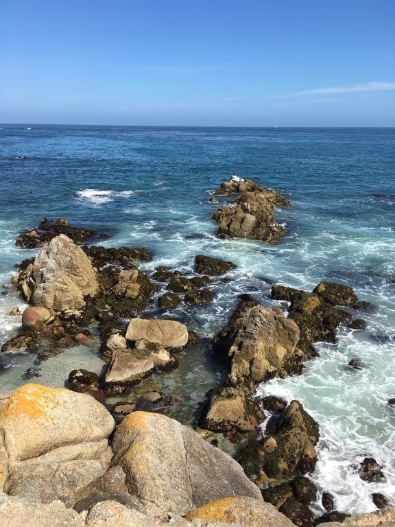 a group of rocks in the ocean near the water at Monterey Fairgrounds Inn in Monterey