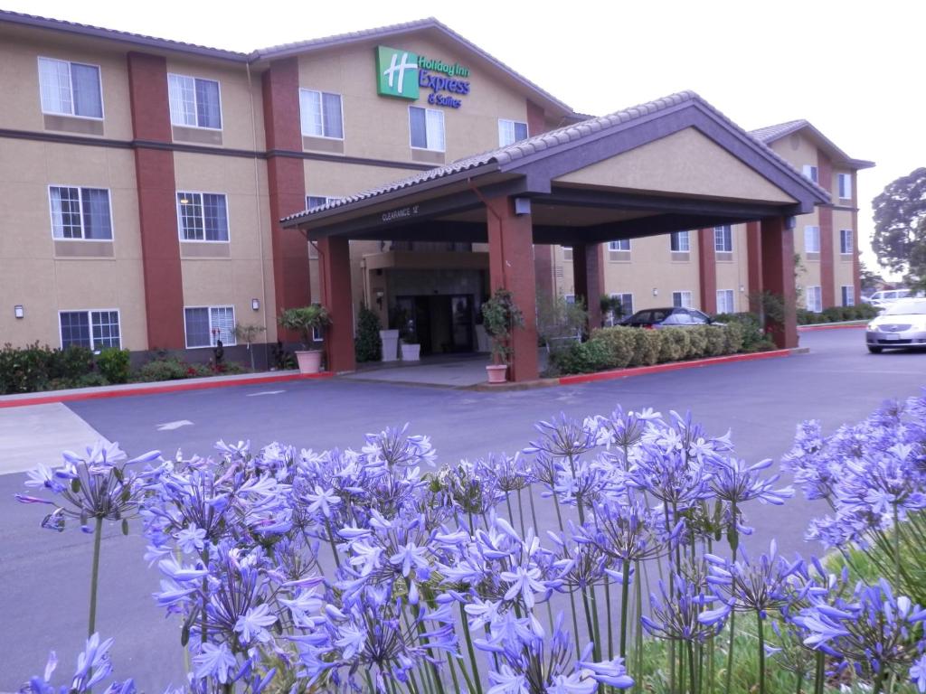 Holiday Inn Express San Pablo - Richmond Area by IHG photo