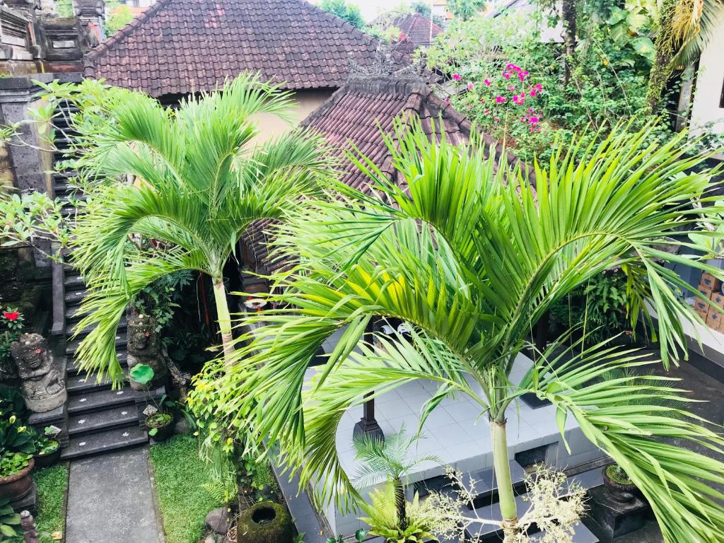 Zahrada ubytování Pangkung House