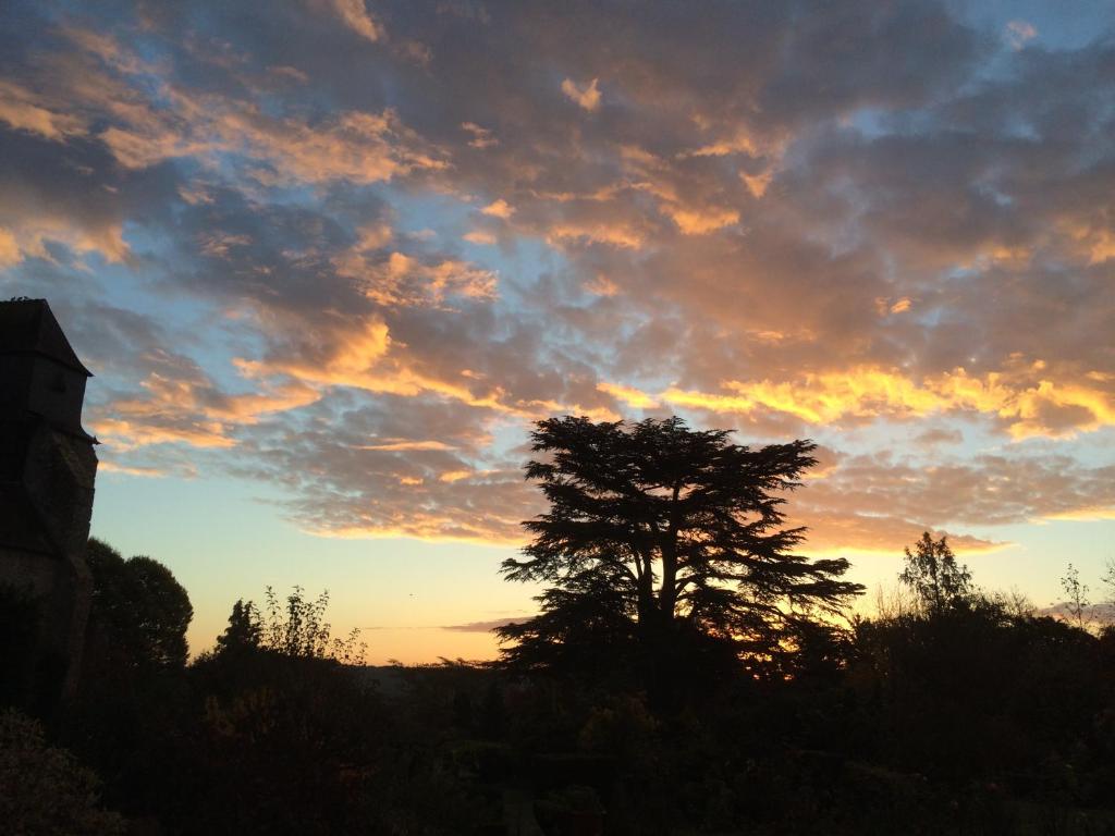 Le Prieure d'Orchaise - 19