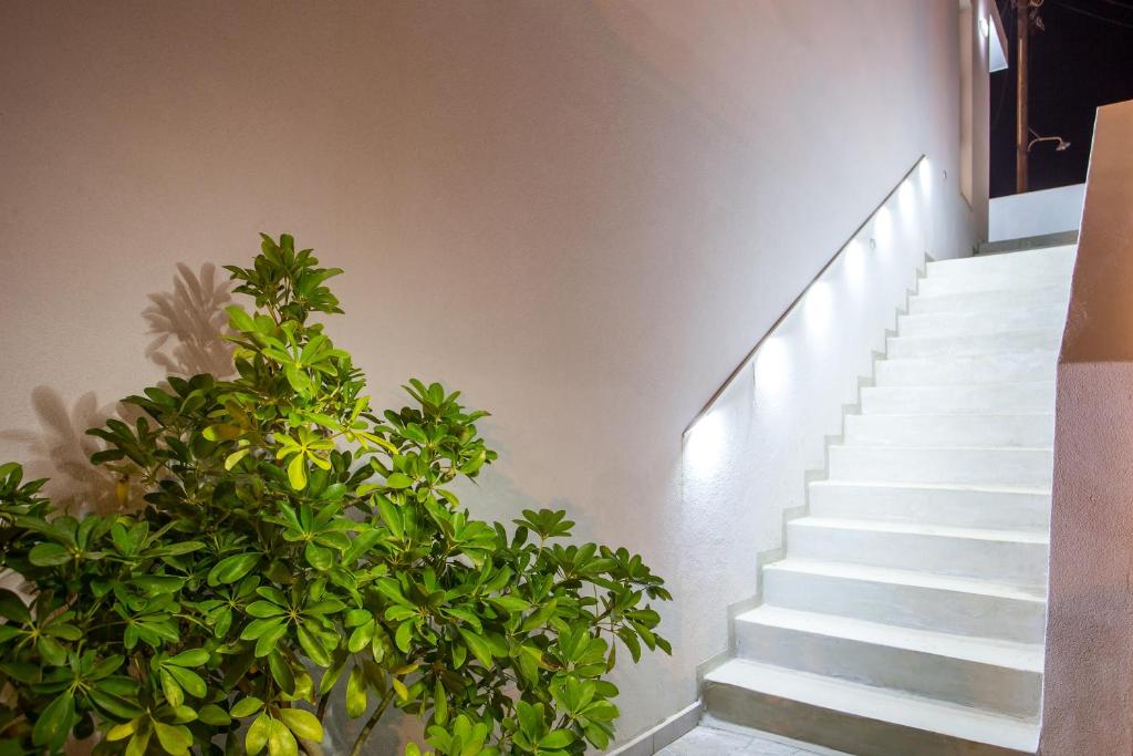 Fotografie z fotogalerie ubytování Yianna's Flat v destinaci Faliraki