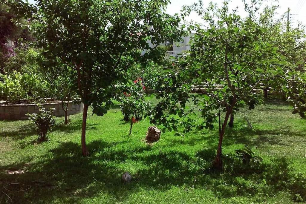 Vonkajšia záhrada v ubytovaní Sunny garden studio