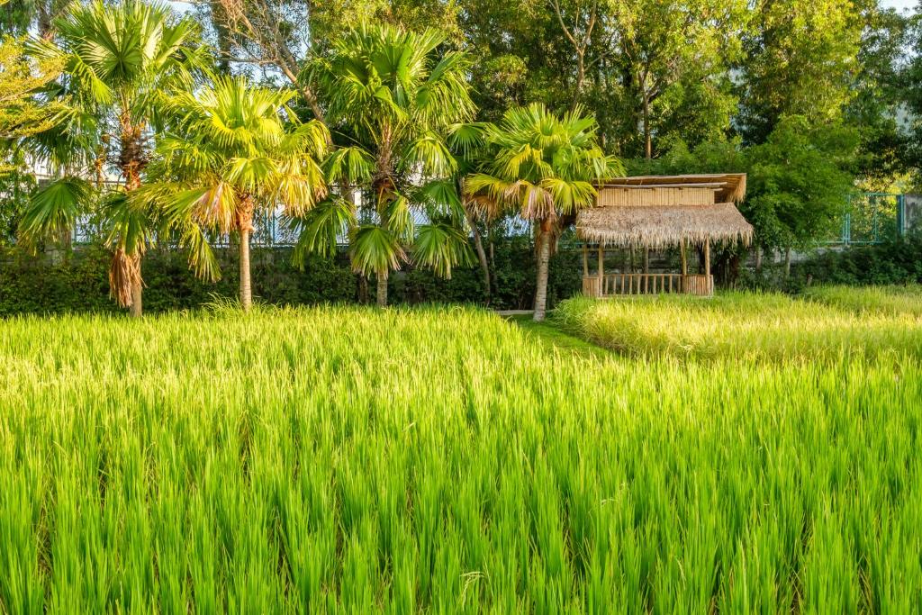 Naina Resort & Spa - SHA Extra Plus - Resim 15