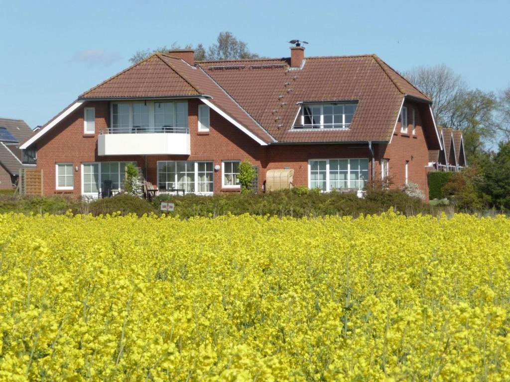 a house in a field of yellow rapeseed at NTBM36104-FeWo-Swalkennest in Neue Tiefe Fehmarn