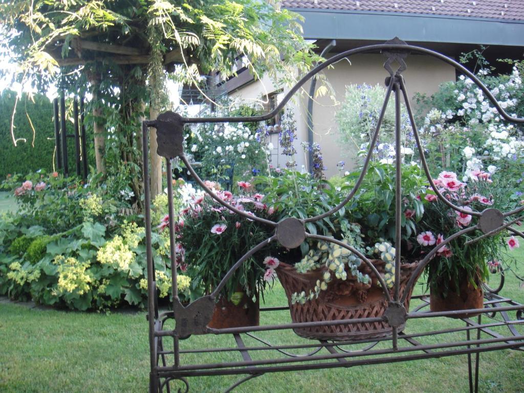 Zahrada ubytování Charming and cosy apartment near Lucerne
