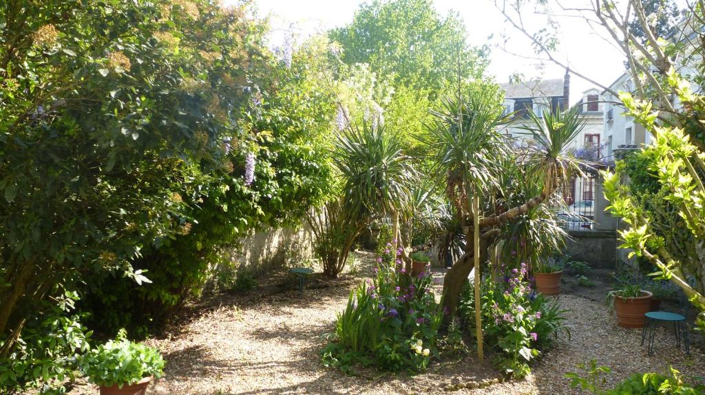 a garden with palm trees and other plants at La Petite Vigne in Amboise