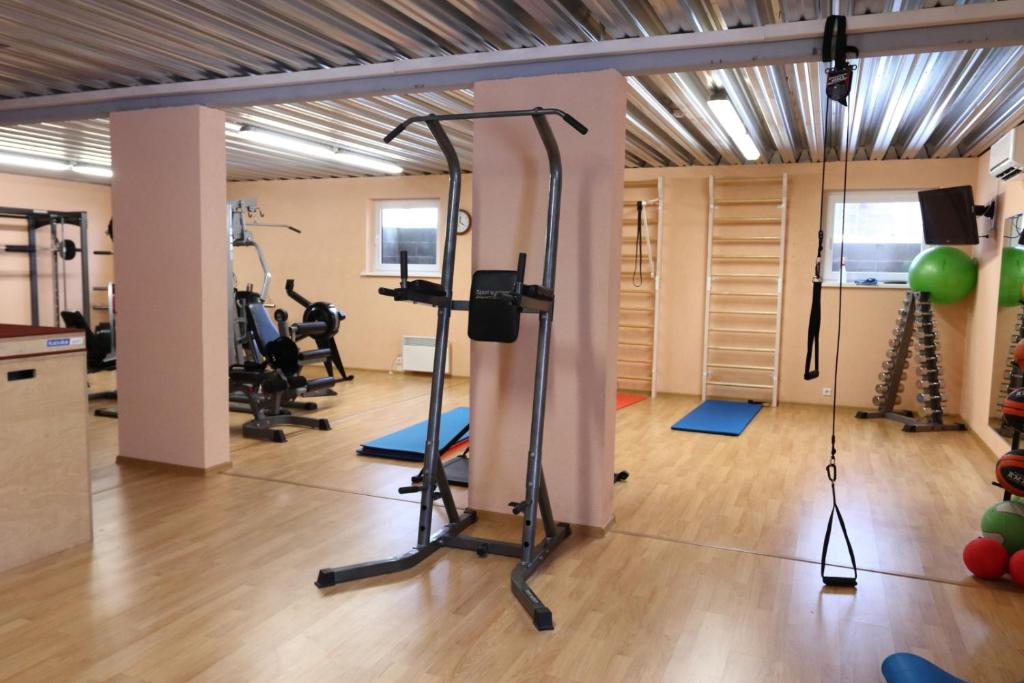 Fitness centrum a/nebo fitness zařízení v ubytování Hotel Karupesa