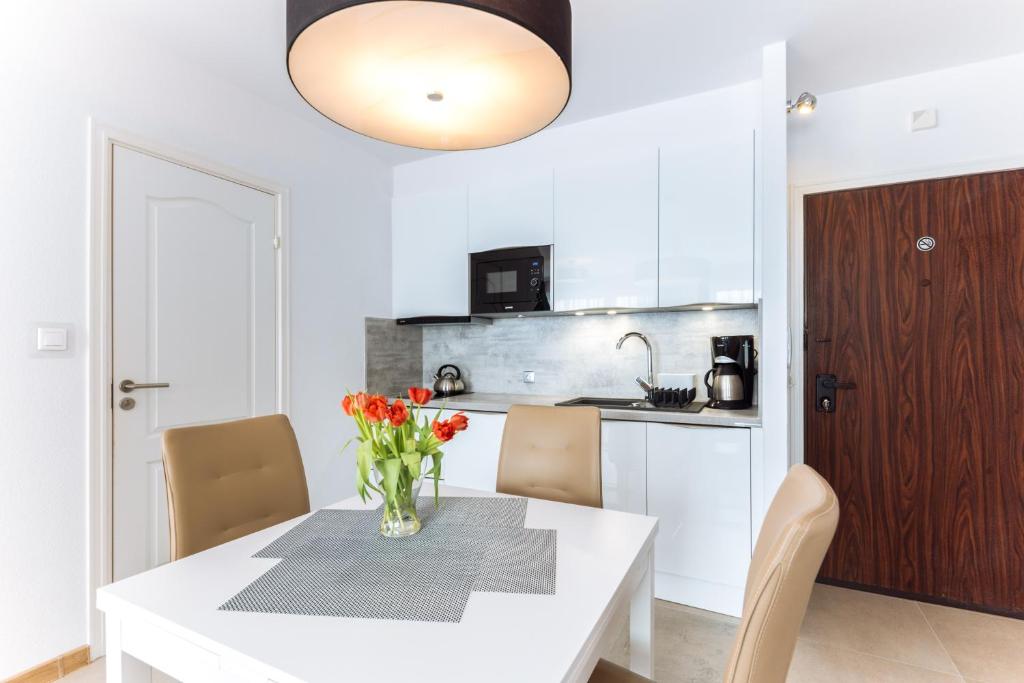 Kuchyňa alebo kuchynka v ubytovaní Apartamenty NAVIGATOR-PORT