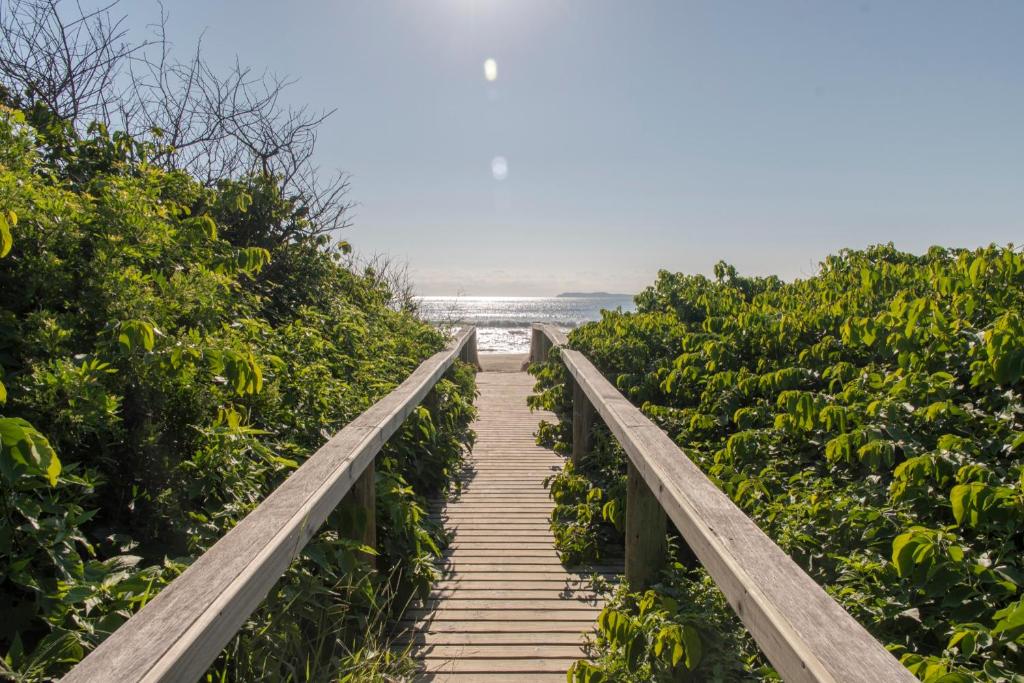 un paseo marítimo de madera a través de un campo de plantas en Raio do Sol Residence, en Bombinhas