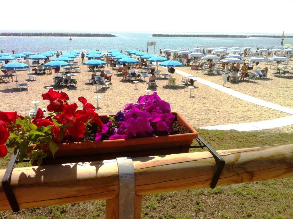 Táj az apartmanhotel közelében