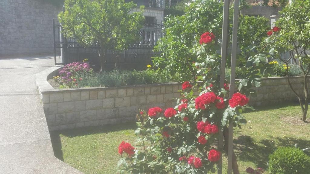 Zahrada ubytování Guesthouse Kodre