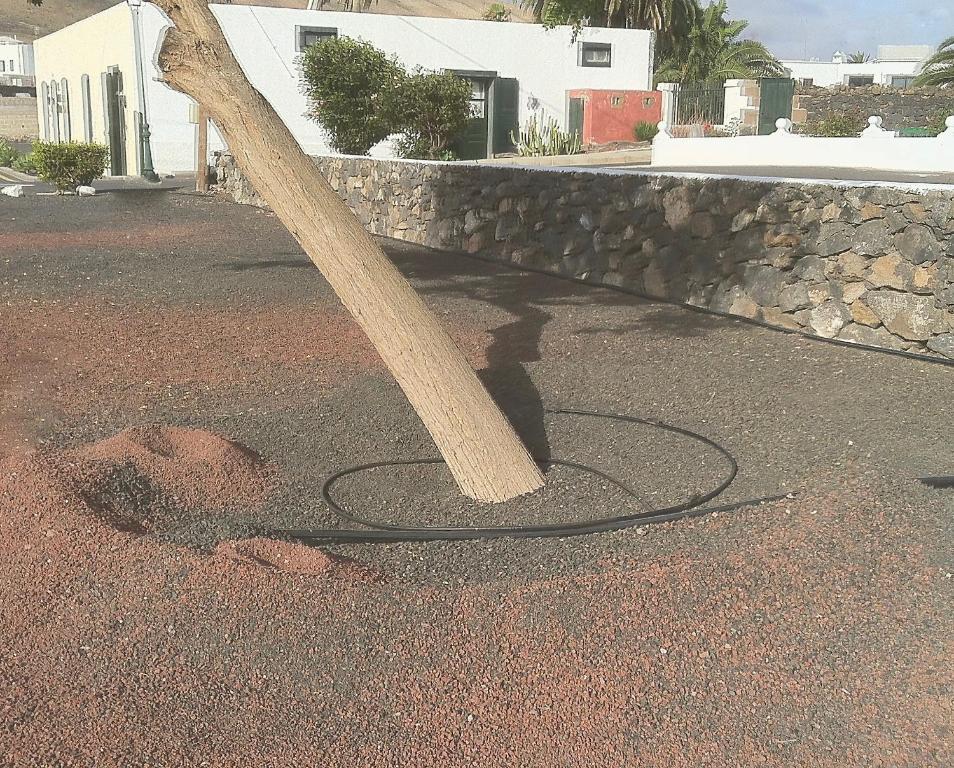 Fotografie z fotogalerie ubytování La Finca Uga v destinaci Uga