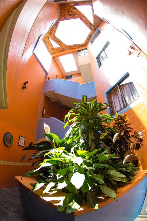 Fotografie z fotogalerie ubytování Hotel posada casa regia v destinaci Xalapa