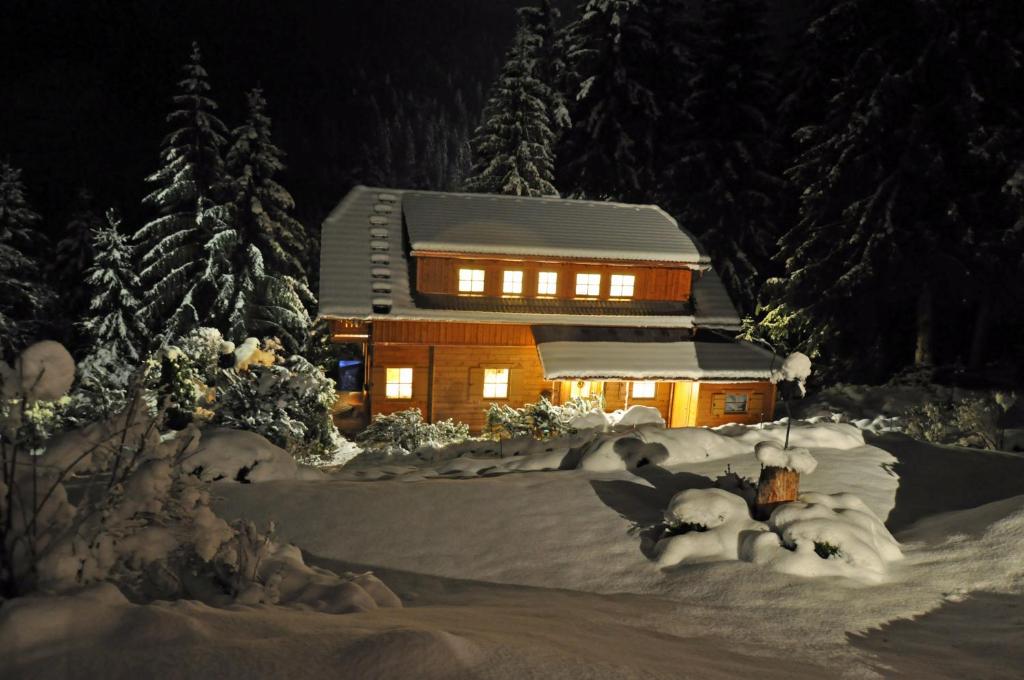 Chalet Styria冬天相片