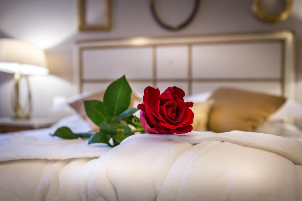 Palazzo Ridolfi - Residenza d'Epoca - Resim 35