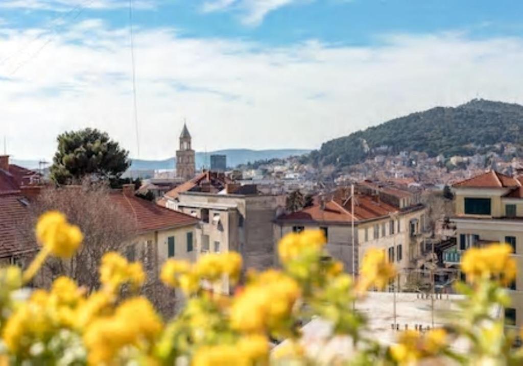 uma vista de uma cidade com flores amarelas no primeiro plano em Oko em Split