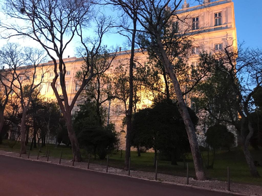 a building with trees in front of a street at Excellent 2 bedroom apartment in Lisbon in Lisbon