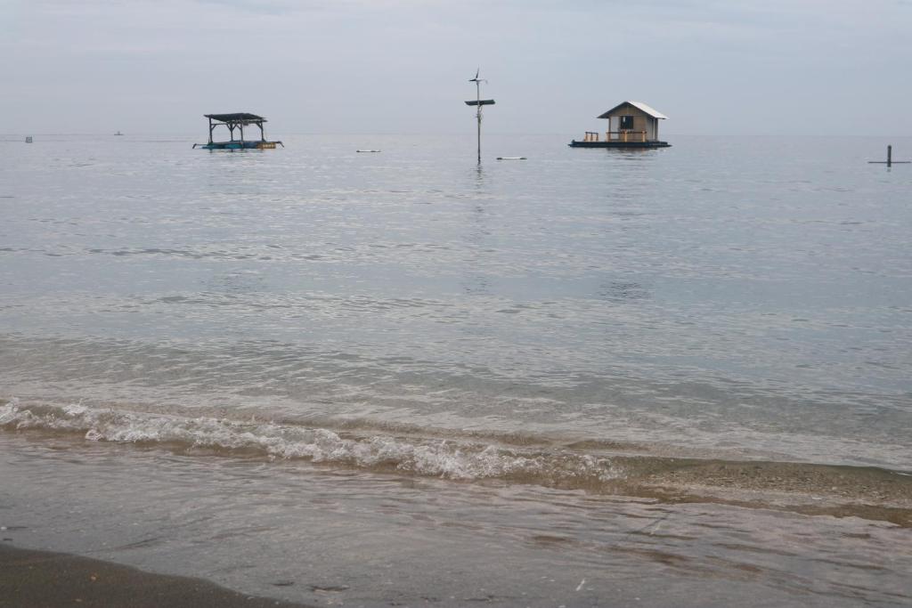 Putu Guest House Pemuteran - 1