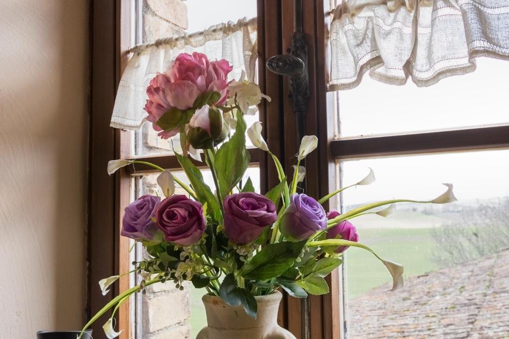 Wine Resort Colsereno - 17