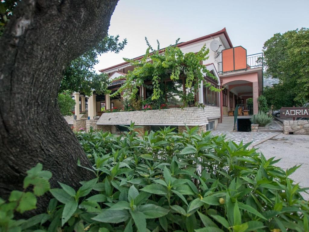 een gebouw met een boom en planten ervoor bij Apartment in Starigrad-Paklenica 34070 in Starigrad-Paklenica