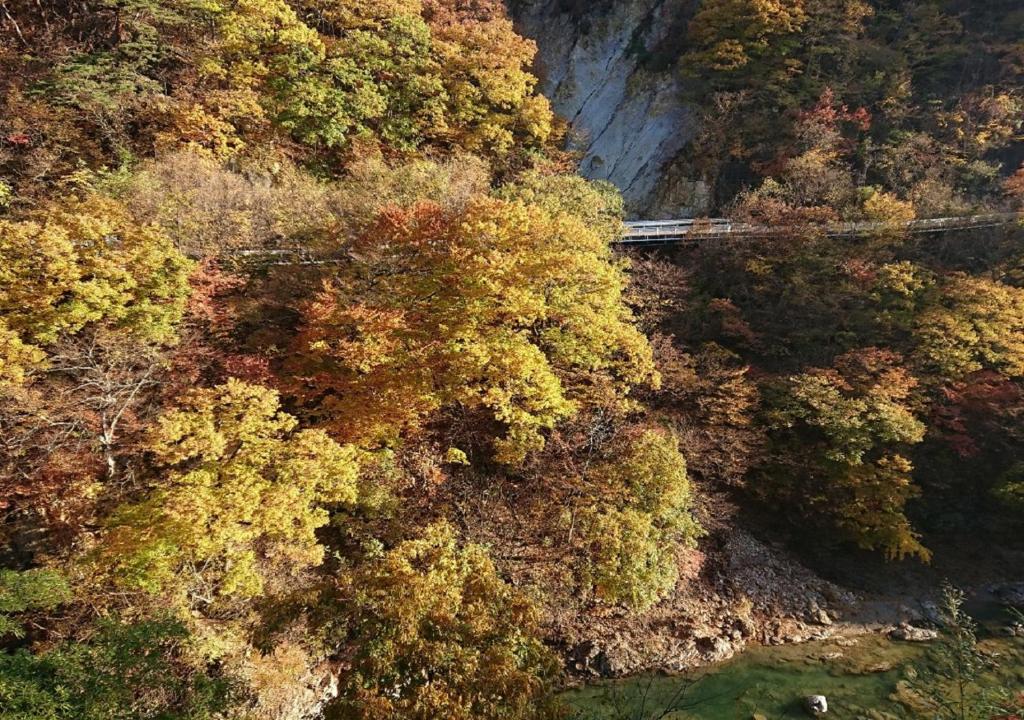 伊東園ホテル尾瀬老神山楽荘 沼田市 21年 最新料金 伊東園ホテル尾瀬老神山楽荘 沼田市 21年 最新料金