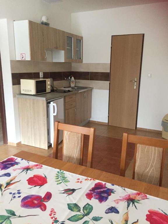 Kuchyň nebo kuchyňský kout v ubytování Promenád apartmány