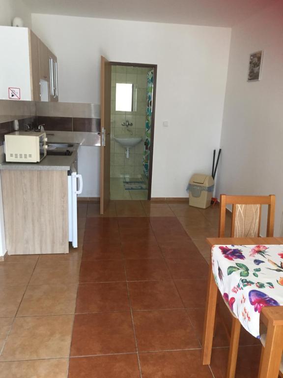 Kuchyň nebo kuchyňský kout v ubytování Promenád apartmány