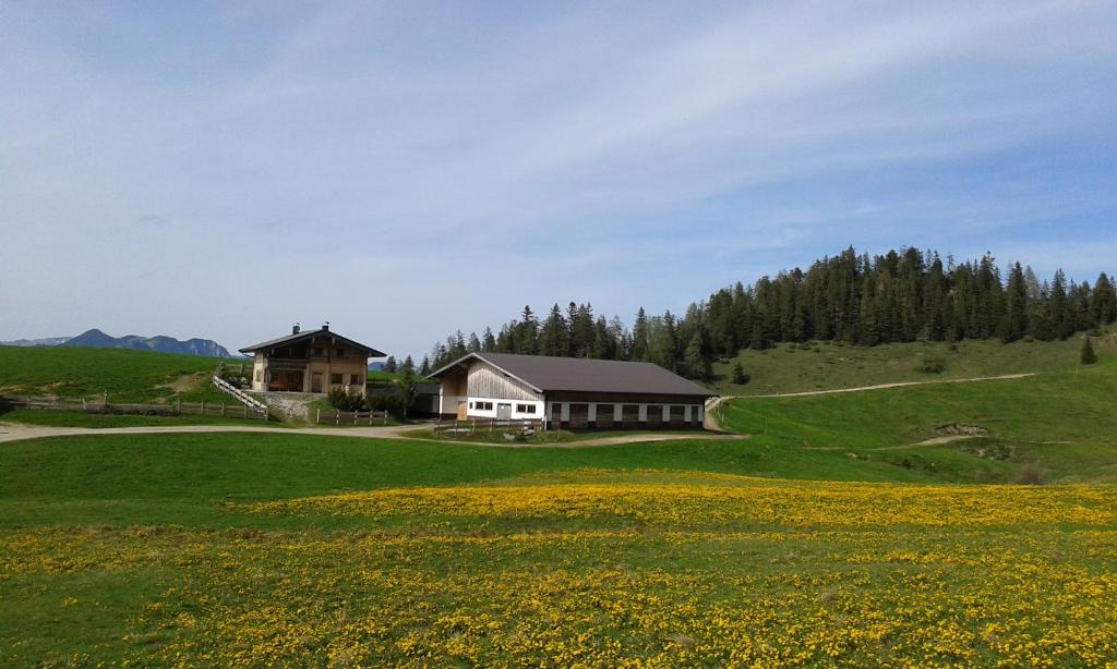 Příroda nedaleko apartmánu