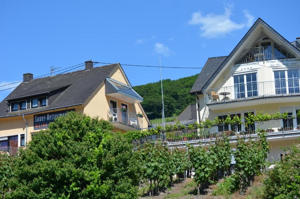 Um edifício com um monte de árvores à frente. em Weingut Sauer-Kettermann em Enkirch