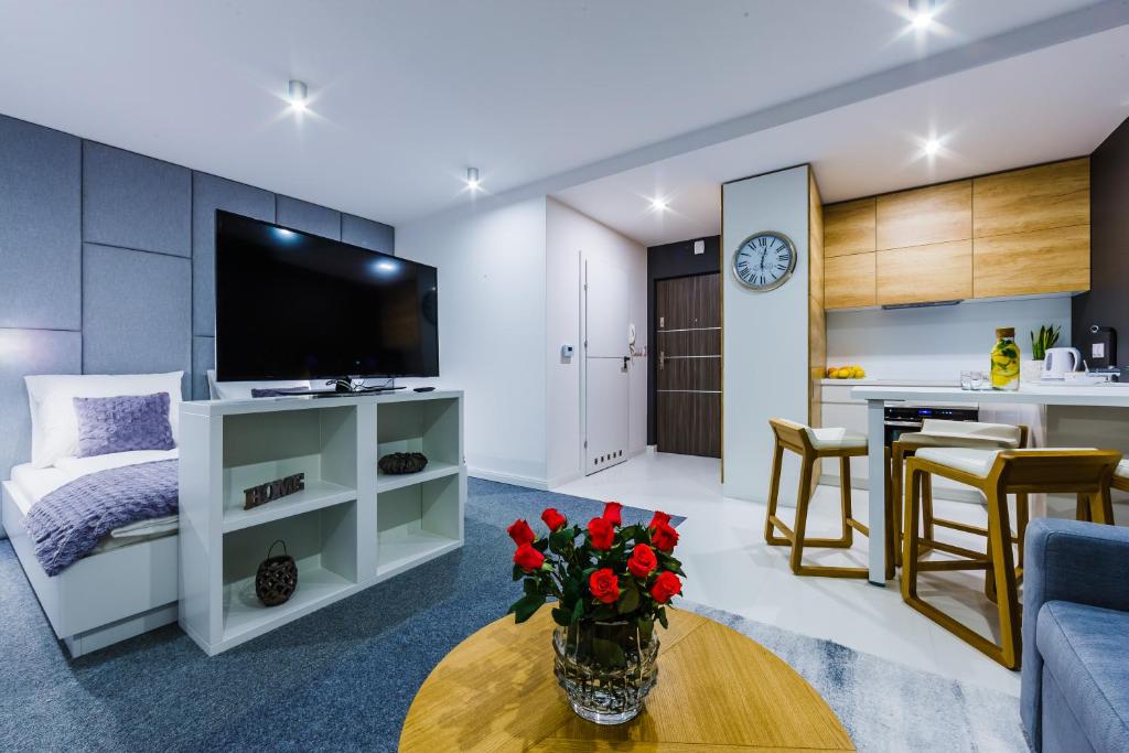 Televízia a/alebo spoločenská miestnosť v ubytovaní Zigzak Apartments Superior 9C