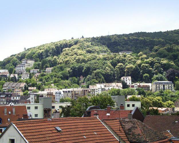 Imagen de la galería de Ferienwohnung Appolonia, en Neustadt an der Weinstraße