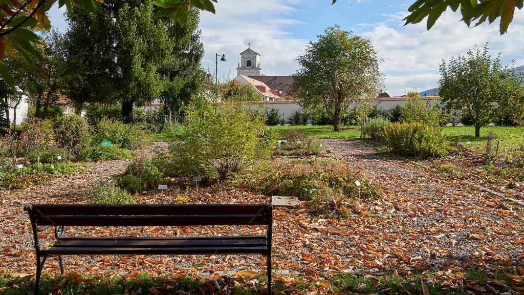 Un jardín fuera de Klosterhotel Kreuz